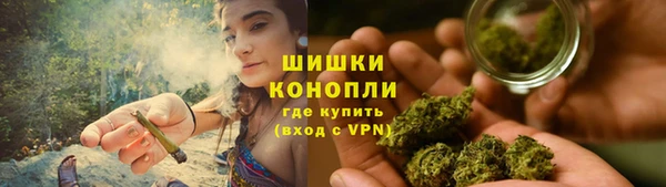 гидра Арсеньев