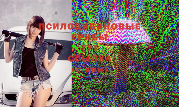 скорость Россошь