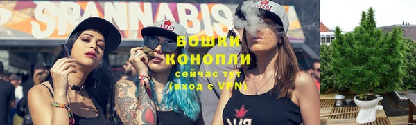 ПСИЛОЦИБИНОВЫЕ ГРИБЫ Аркадак