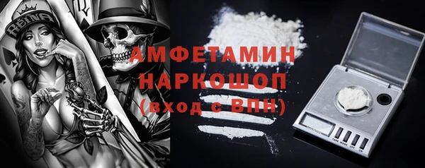 гидра Арсеньев